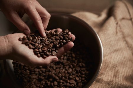Storia del caffè: come, quando e dove è nata la bevanda più amata al mondo