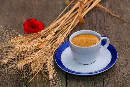 caffe-dorzo-alternativa-al-caffe-tradizionale-proprieta-e-benefici