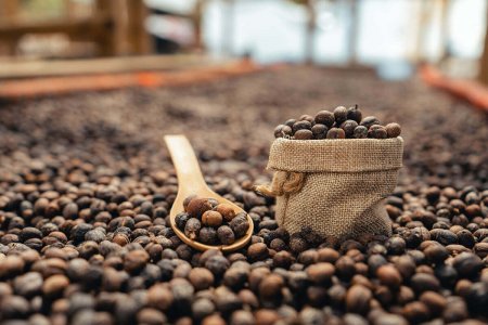 produttori-di-caffe-quali-sono-i-paesi-che-ne-producono-di-piu-nel-mondo